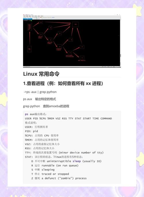 Java 如何执行 Linux 命令？-图1