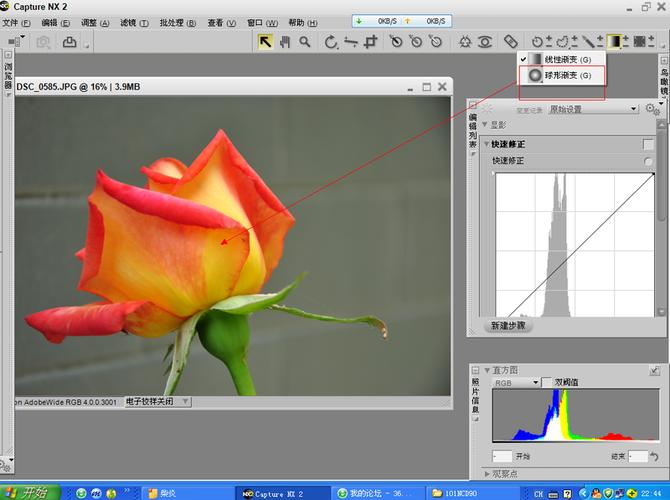 Capture NX怎么用？新手入门教程指南-图3