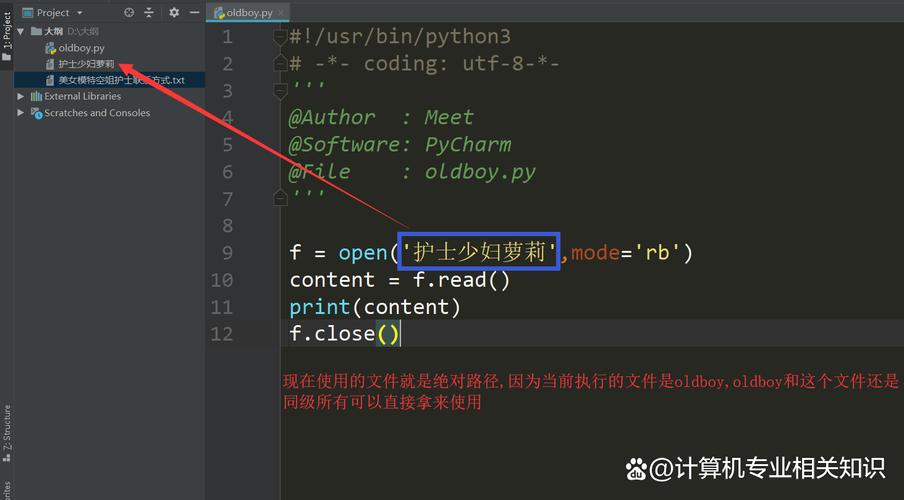 Python文件数据如何用Python高效获取？-图2