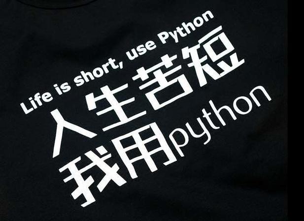 Python人生苦短，为何非要用Python？-图2