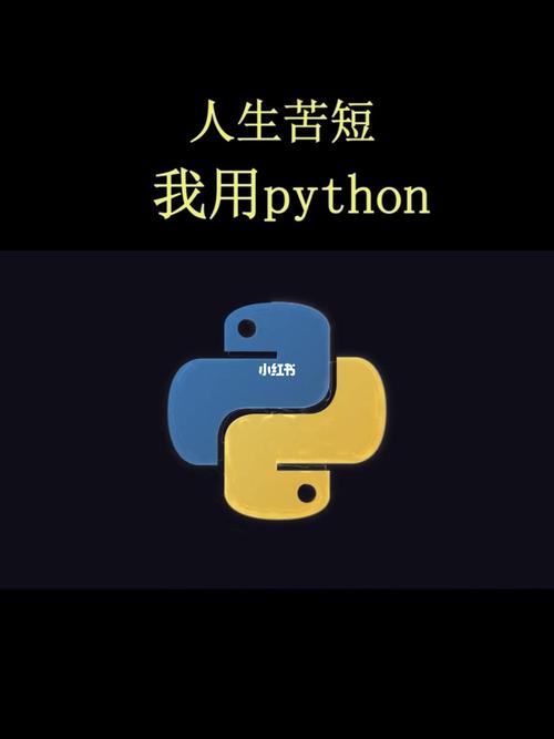 Python人生苦短,为何独选Python?-图1 Python人生苦短,为何独选Python?-图1
