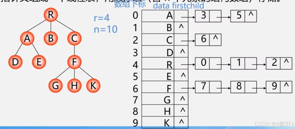 Java树是什么？数据结构还是类？-图3