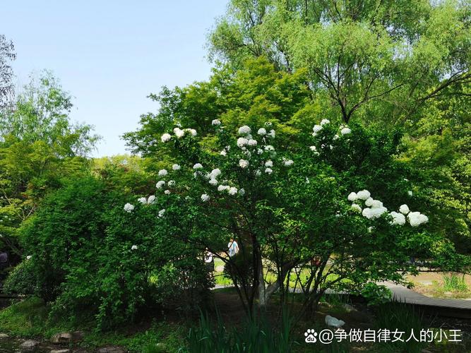 Python socket list有哪些常用方法？-图2