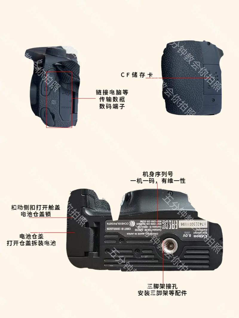 佳能80D新手如何快速入门？-图2