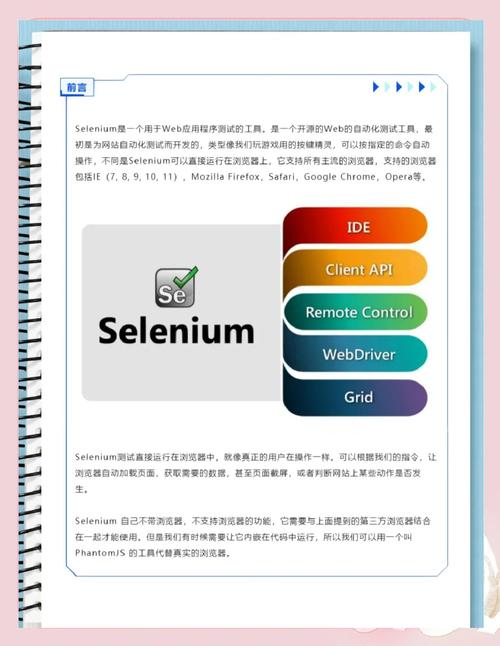 Selenium Python如何驱动IE浏览器？-图1
