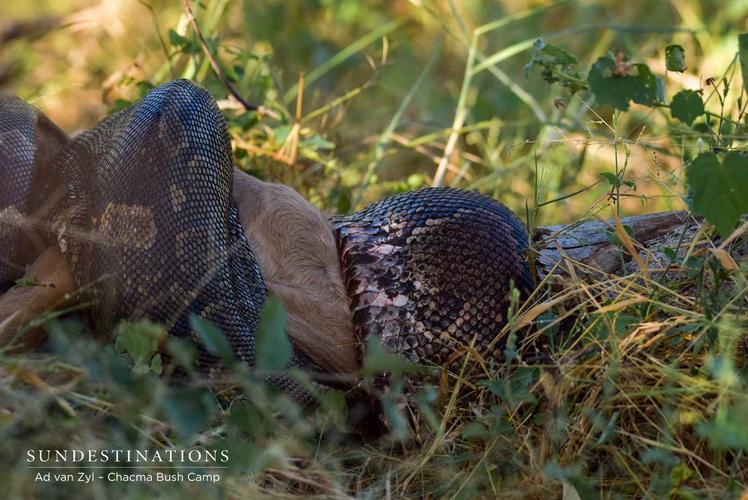 Python核心知识该如何快速掌握?-图3 Python核心知识该如何快速掌握?-图3