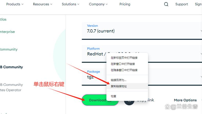 MongoDB Java封装如何简化开发操作？-图1