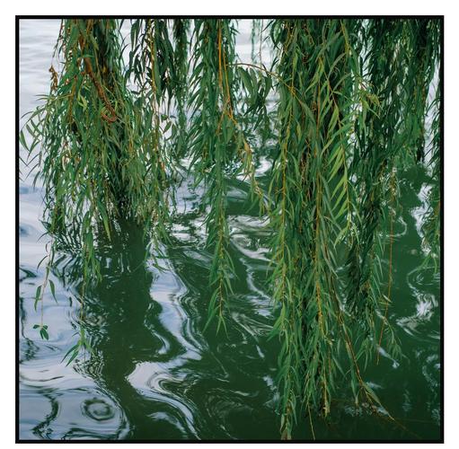 尼康D5300新手怎么用？-图3