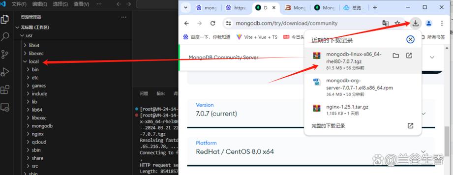 MongoDB下载安装步骤详解?-图3 MongoDB下载安装步骤详解?-图3