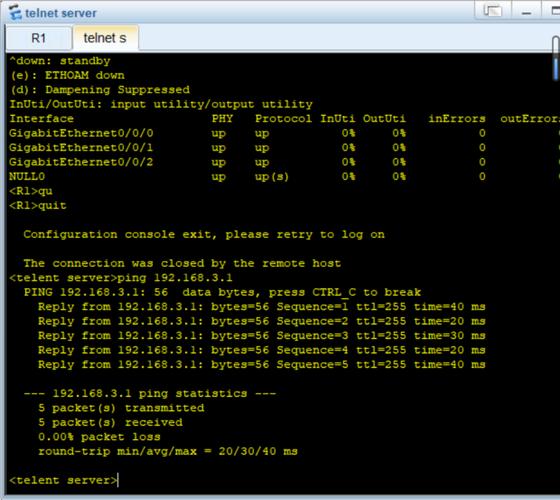 Java如何实现Telnet服务器？-图3