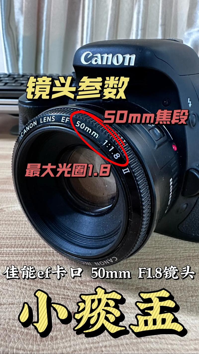 佳能100D怎么用？新手必看教程指南。-图2