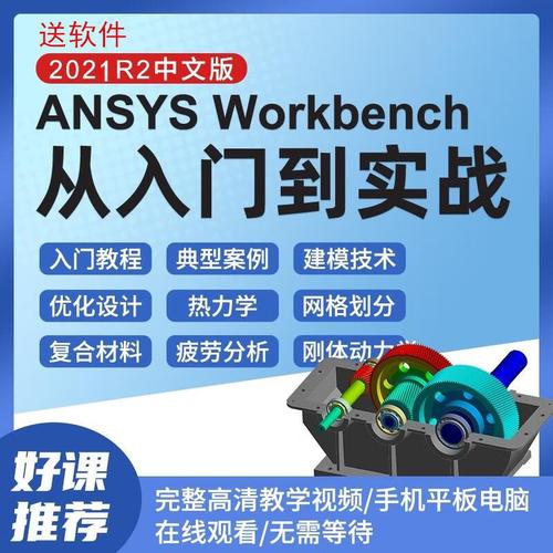 Workbench视频教程适合零基础小白吗？-图1