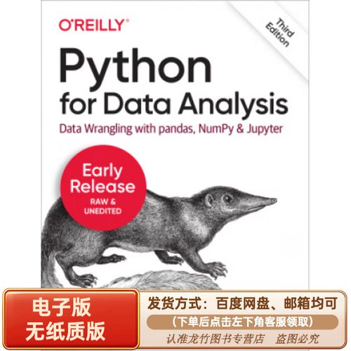 Python如何高效处理数据分析？-图2