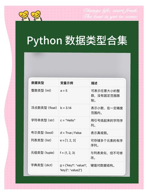 strunct python 整数-图1