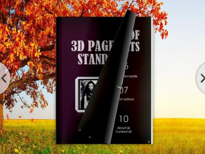 Flash电子相册制作教程有哪些关键步骤？-图3