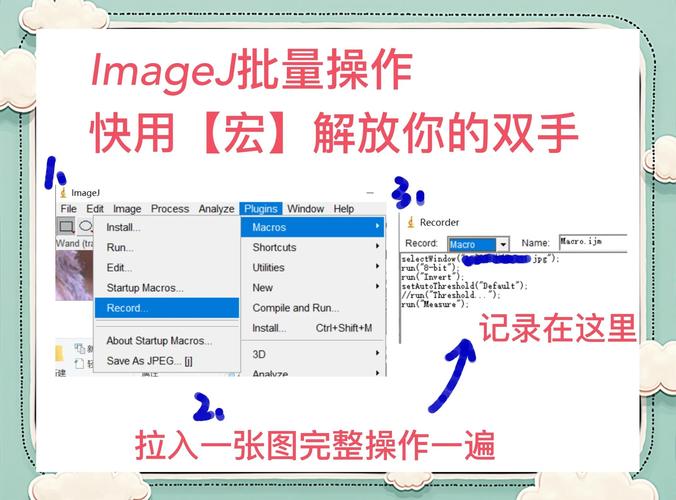 wordpress使用教程-图3