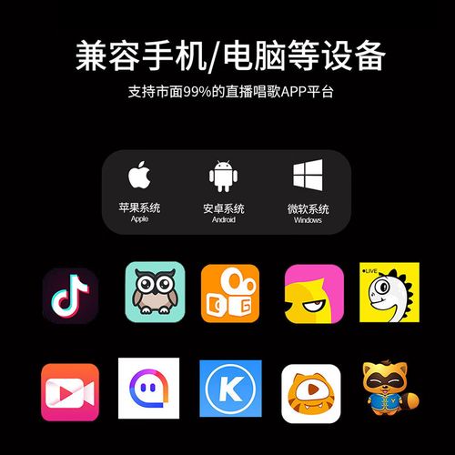 魅声T800喊麦怎么调试？-图2