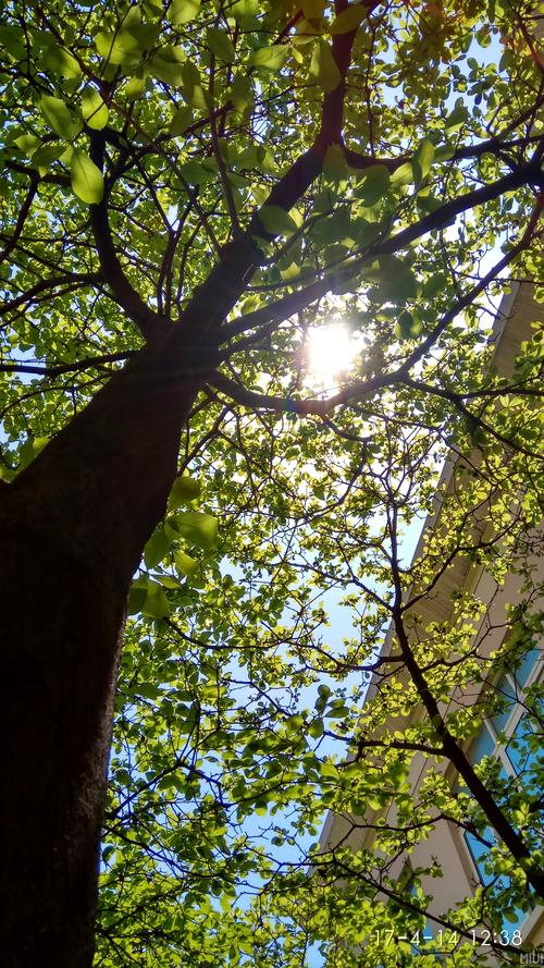 小米5splus刷机教程-图2