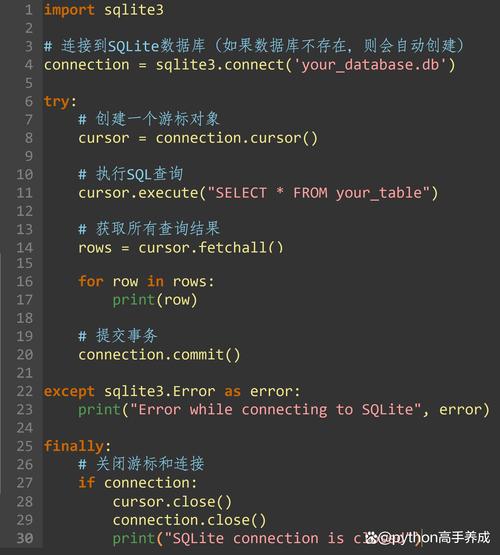 Python中SQL参数如何正确使用？-图1