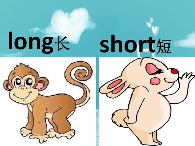 Java中short与long类型有何区别？-图3