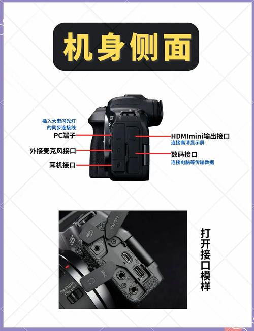 佳能450D新手怎么快速上手操作？-图2