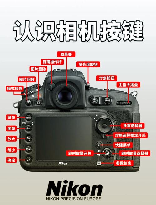 佳能450D新手怎么快速上手操作？-图1