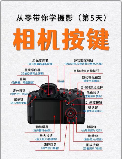 佳能450D新手怎么快速上手操作？-图3