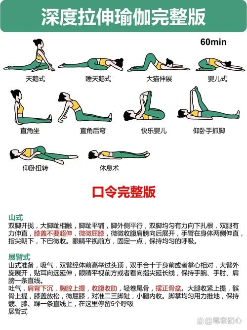 哪里能下载全套初级瑜伽视频教程？-图3