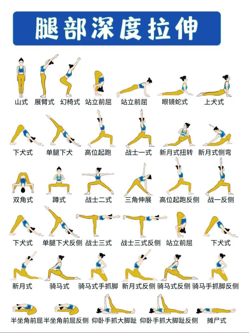 哪里能下载全套初级瑜伽视频教程？-图2