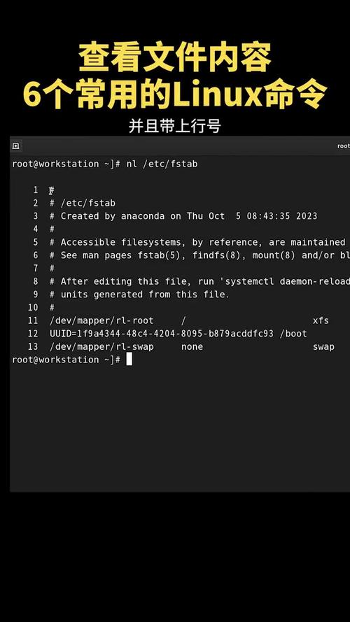 Linux下如何快速查看Java进程？-图1
