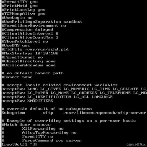 java 远程调用 shell-图1