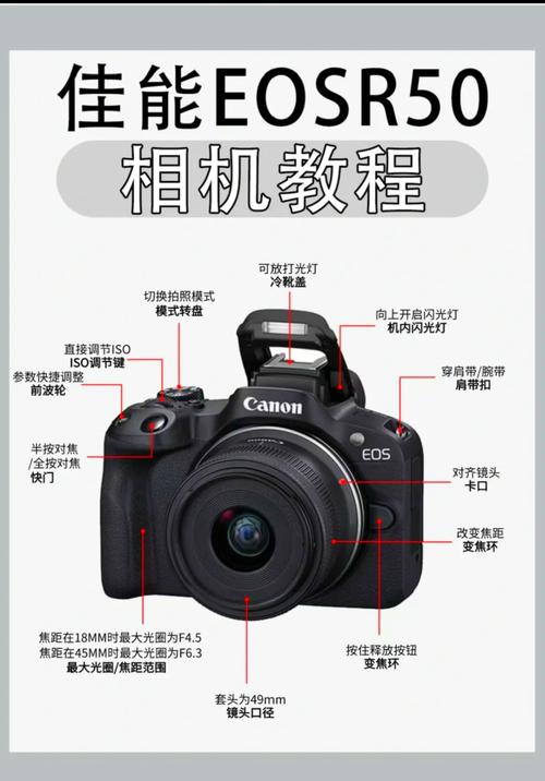 单反摄影入门从哪开始学？-图2