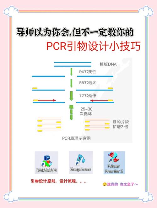 如何快速掌握HTML5响应式布局?-图1 如何快速掌握HTML5响应式布局?-图1