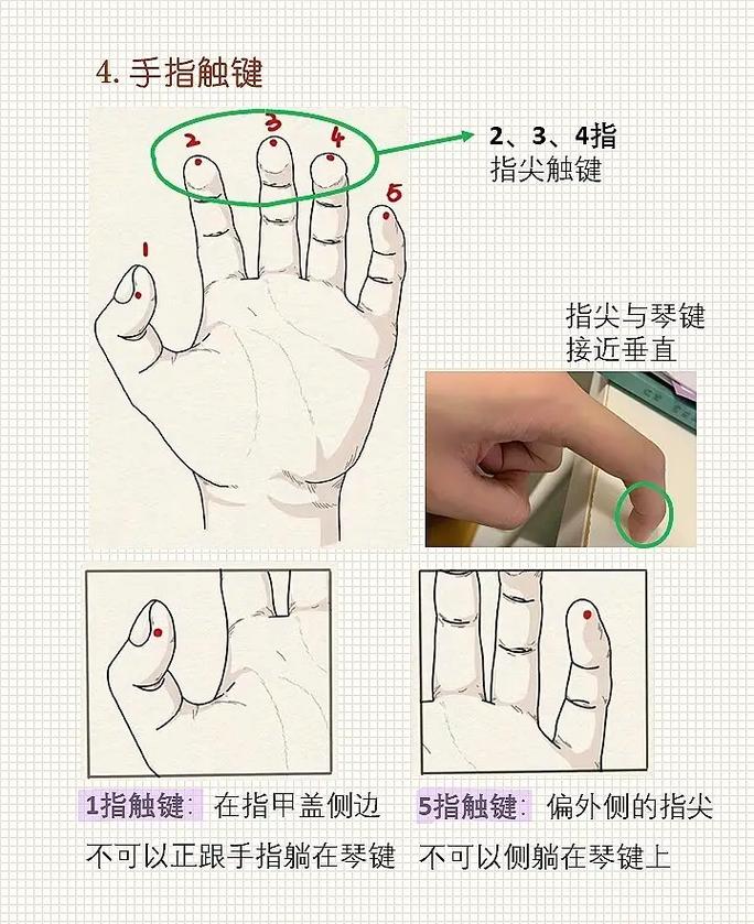 电子钢琴入门自学视频，新手如何快速上手？-图3