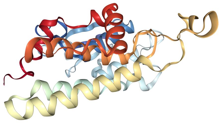 Python SolrClient如何连接与使用？-图3