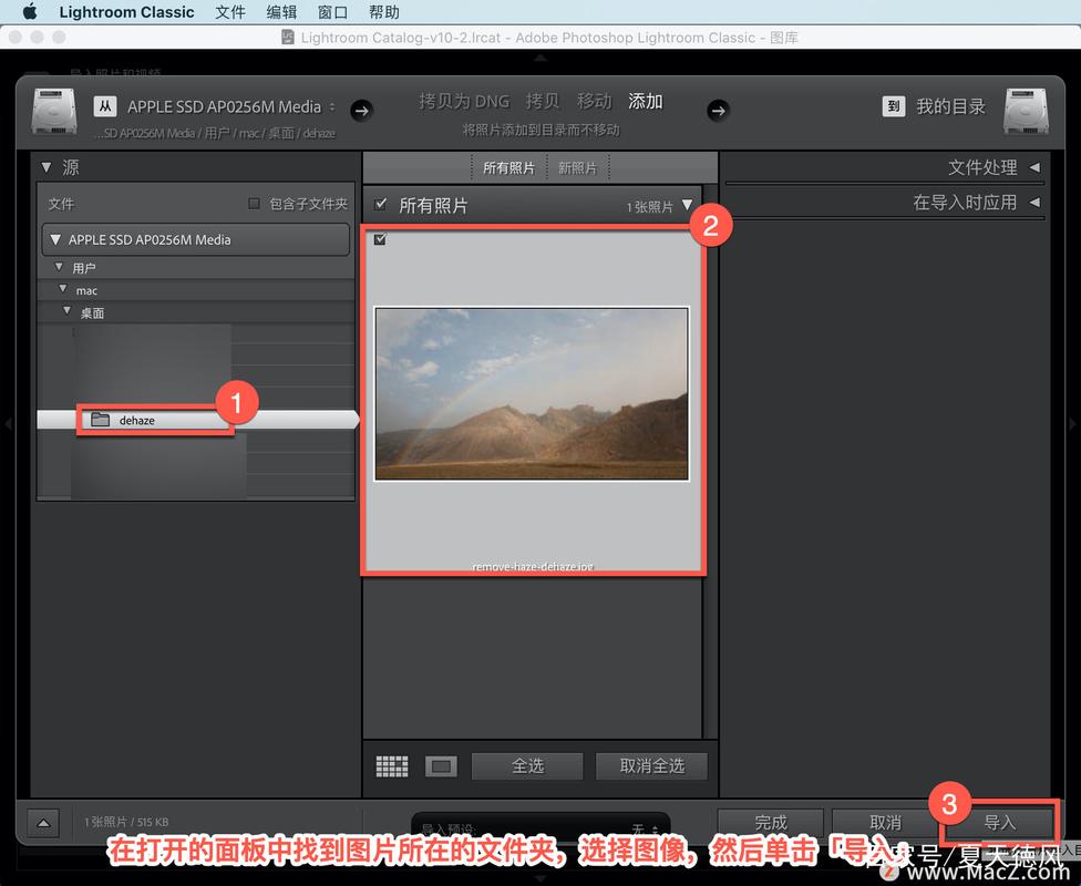 Lightroom教程从哪学起?新手入门必看指南!-图1 Lightroom教程从哪学起?新手入门必看指南!-图1