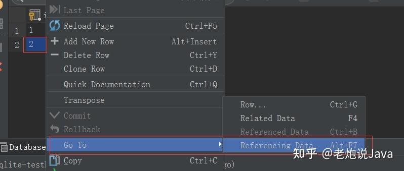 DataGrip怎么安装？新手必看教程！-图3