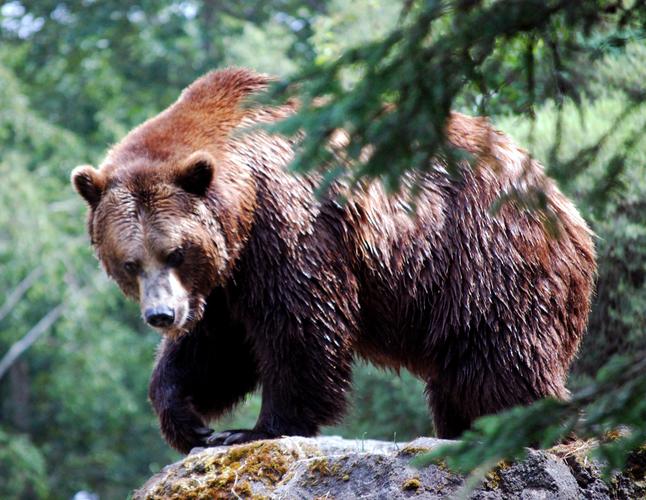 Python fuzzywuzzy如何实现模糊匹配？-图3