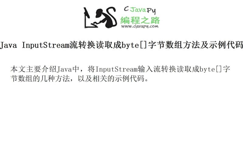 Java中int转byte为何会丢失精度？-图1