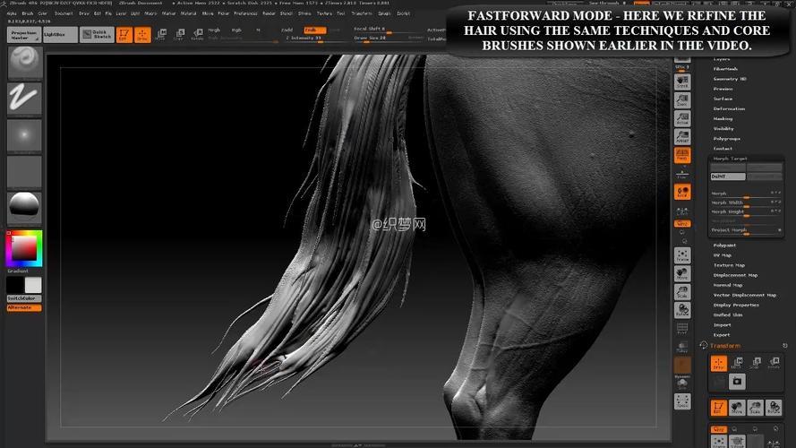 ZBrush 4R6教程该怎么学？-图2