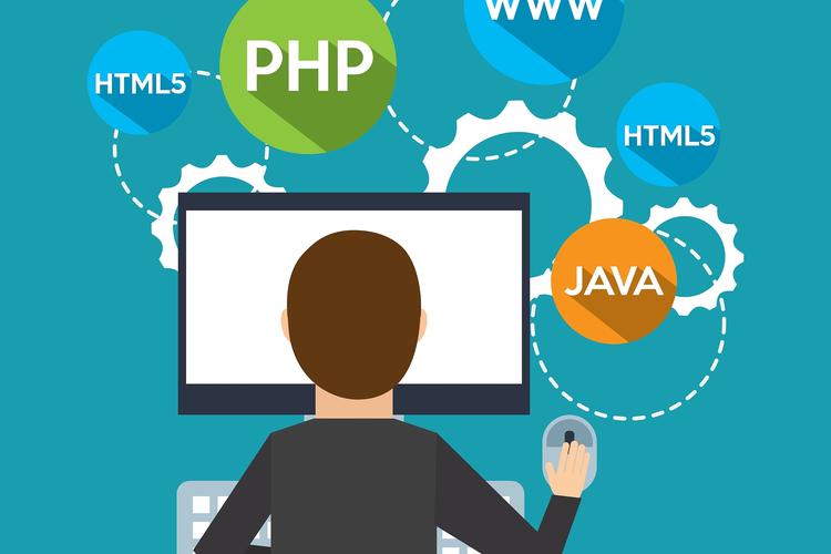 Java的Collection框架如何高效使用？-图1