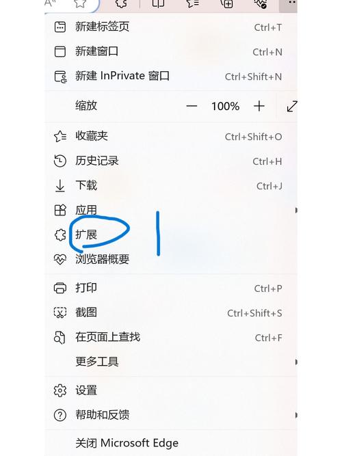 Chrome插件教程，如何轻松安装与使用？-图3