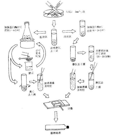 em plant教程该怎么学？-图3