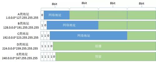 java 获取ipv4的地址-图1