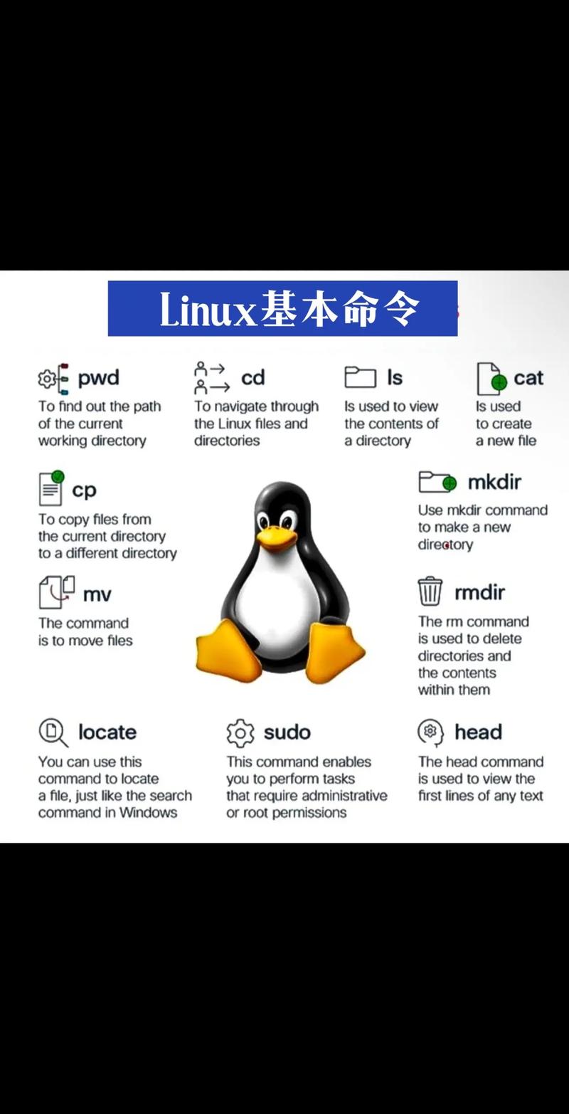Linux教程PPT该怎么学？-图1