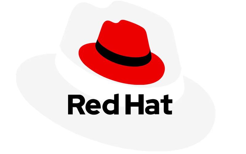 Red Hat安装教程有哪些关键步骤？-图2