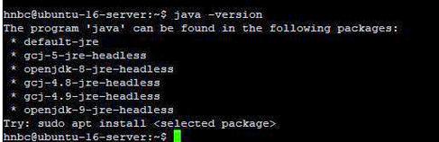 Linux安装Java的步骤是什么？-图2
